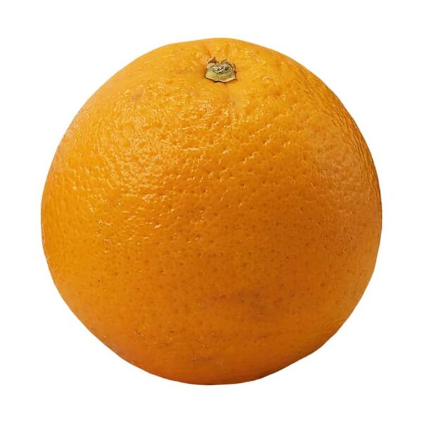 Orange fruit on a white background