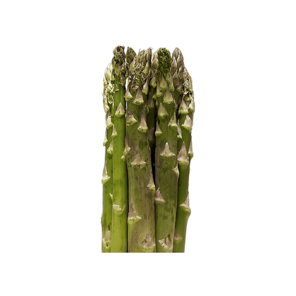 Asparagus on a transparent (no) background