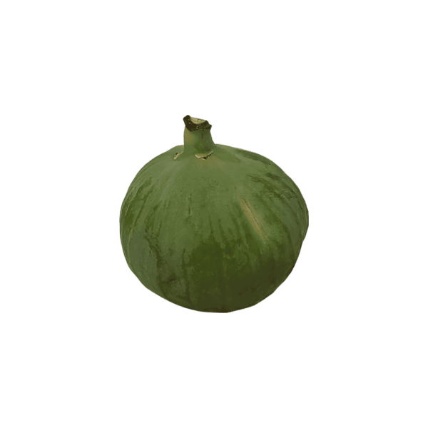 Fig on a transparent (no) background