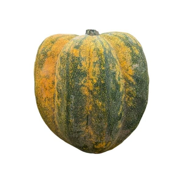 Acorn Squash on a white background