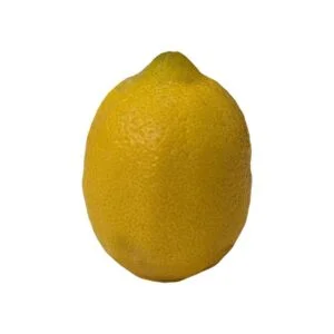 Lemon on a white background