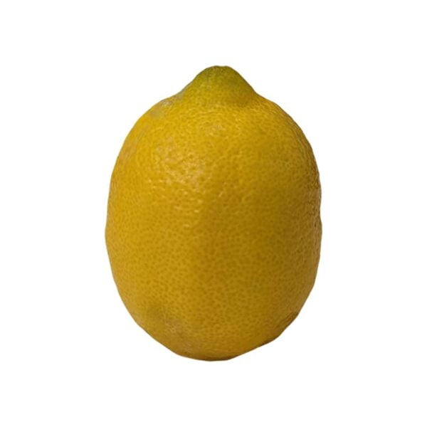 Lemon on a white background