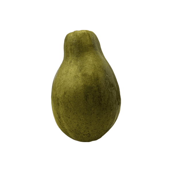 Papaya on a transparent (no) background