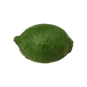 Lime on a transparent (no) background