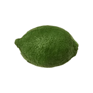 Lime on a transparent (no) background