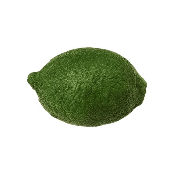 Lime on a transparent (no) background