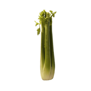Celery on a transparent (no) background