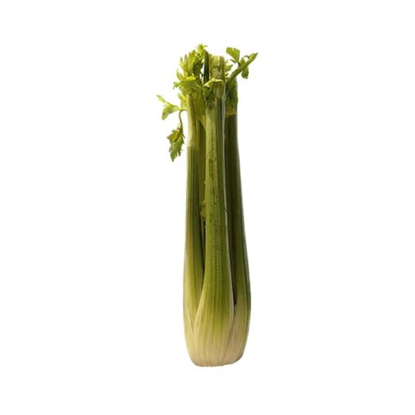 Celery on a white background