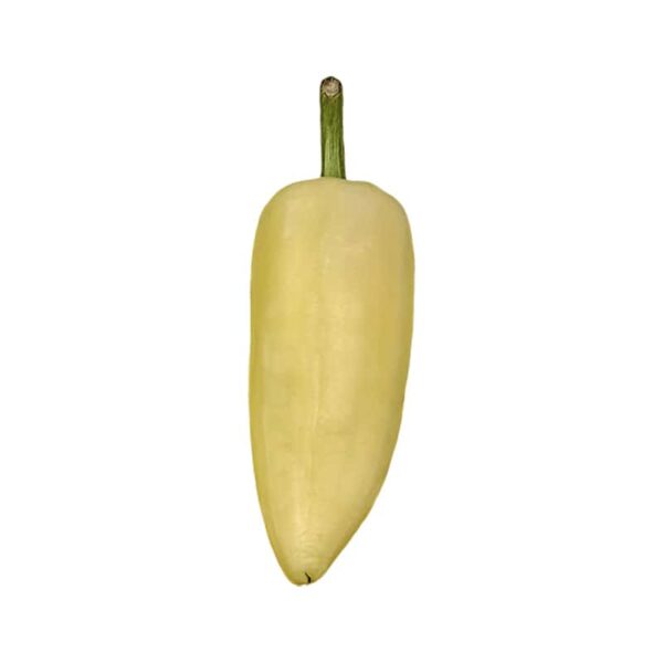 Yellow Chile Pepper on a white background