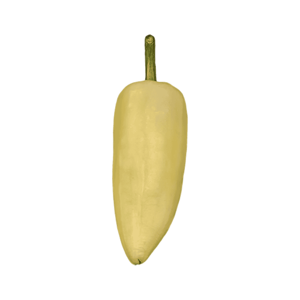 Yellow Chile Pepper on a transparent (no) background