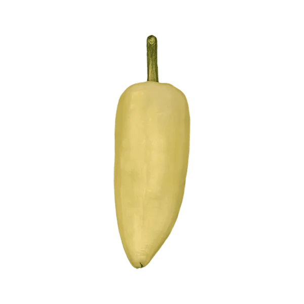 Yellow Chile Pepper on a transparent (no) background