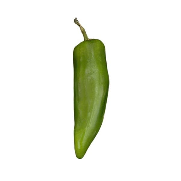 Green Chile Pepper on a white background