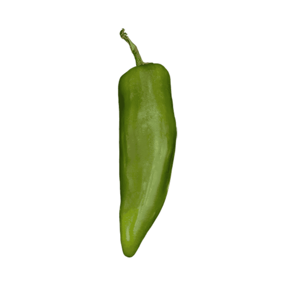 Green Chile Pepper on a transparent (no) background