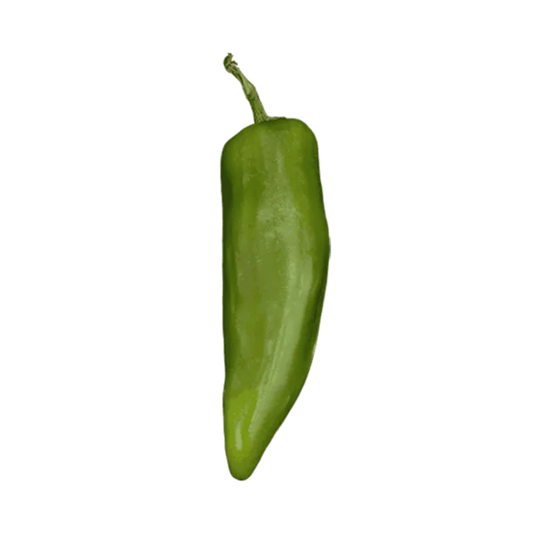 Green Chile Pepper on a transparent (no) background