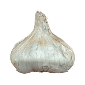 Garlic on a transparent (no) background