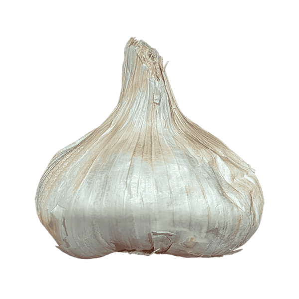 Garlic on a transparent (no) background