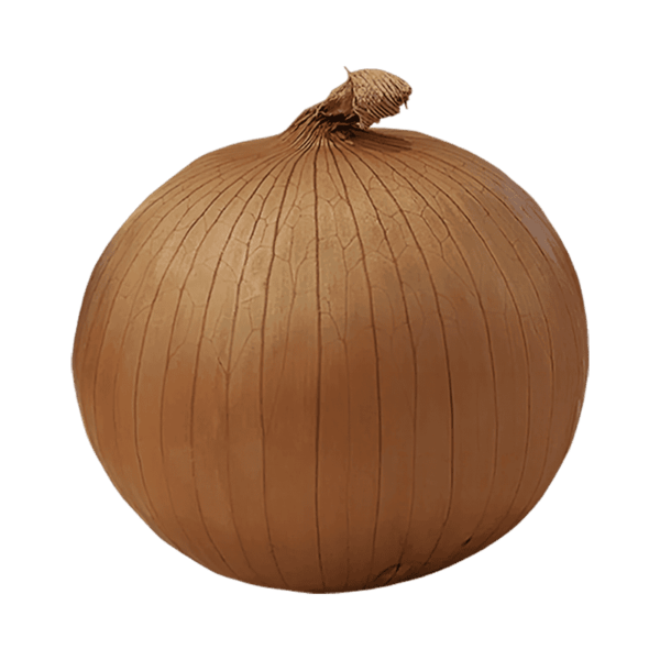 Onion on a transparent (no) background