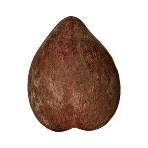 Mottled Pluot fruit on a transparent (no) background
