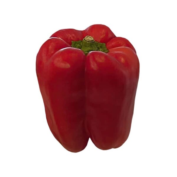 Red Bell Pepper on a white background