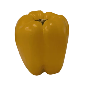 Yellow Bell Pepper on a transparent (no) background
