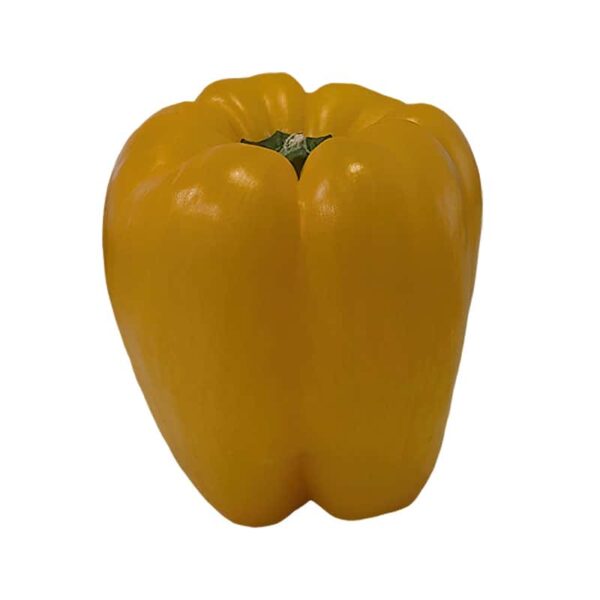 Yellow Bell Pepper on a white background