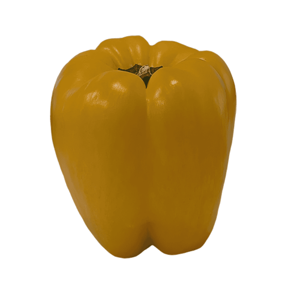 Yellow Bell Pepper on a transparent (no) background