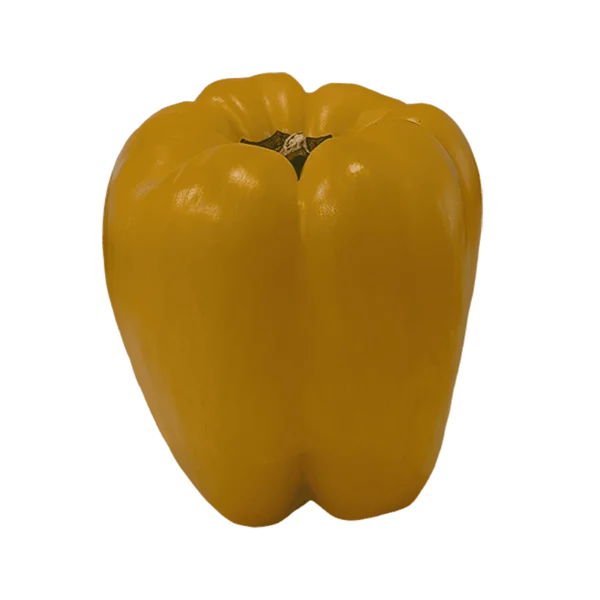 Yellow Bell Pepper on a transparent (no) background