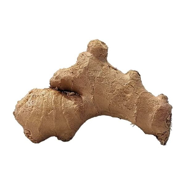 Ginger Root on a white background