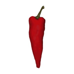 Red Chile Pepper on a transparent (no) background