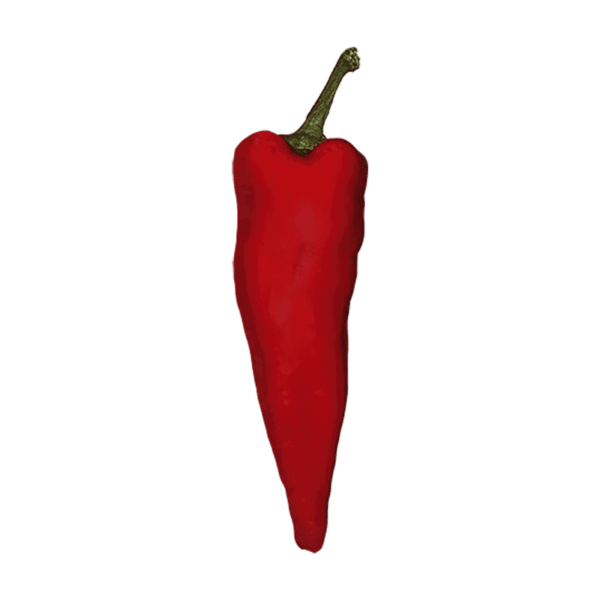 Red Chile Pepper on a transparent (no) background