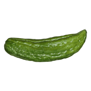 Bitter Melon on a transparent (no) background