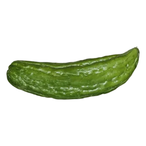 Bitter Melon on a transparent (no) background