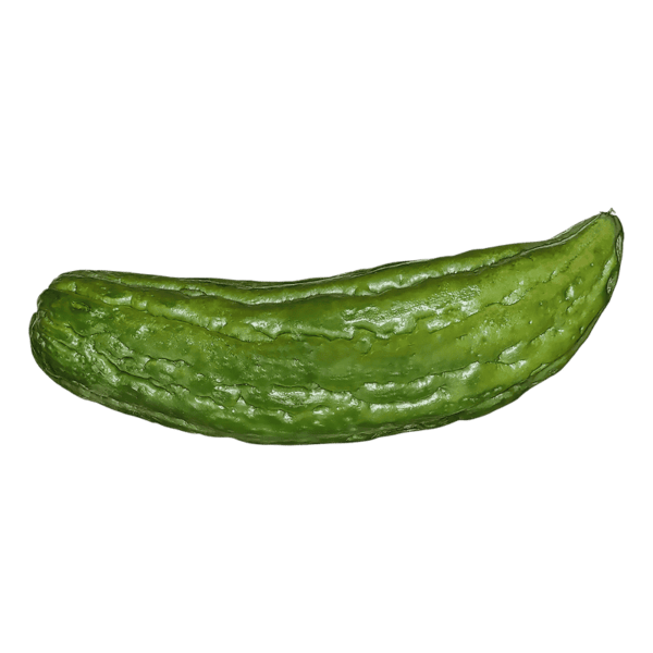 Bitter Melon on a transparent (no) background