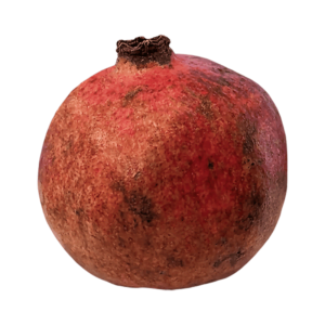 Pomegranate Fruit on a transparent (no) background