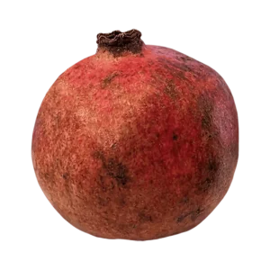 Pomegranate Fruit on a transparent (no) background