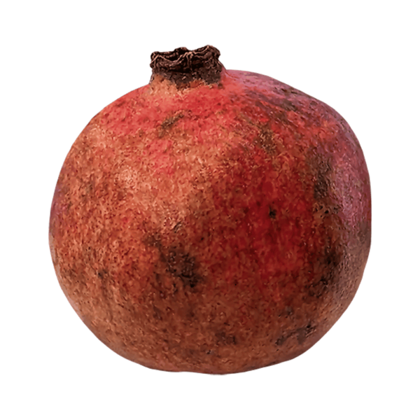 Pomegranate Fruit on a transparent (no) background