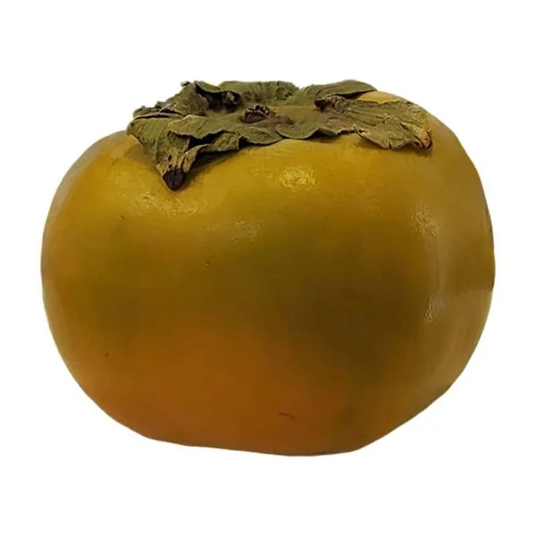 Persimmon Fruit on a white background