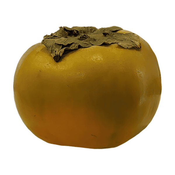 Persimmon Fruit on a transparent (no) background