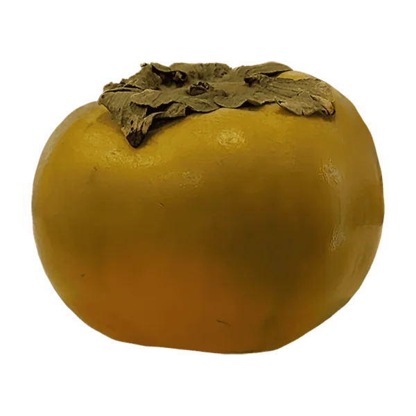 Persimmon Fruit on a transparent (no) background