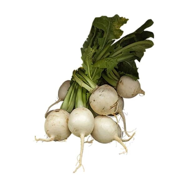 Turnips on a white background