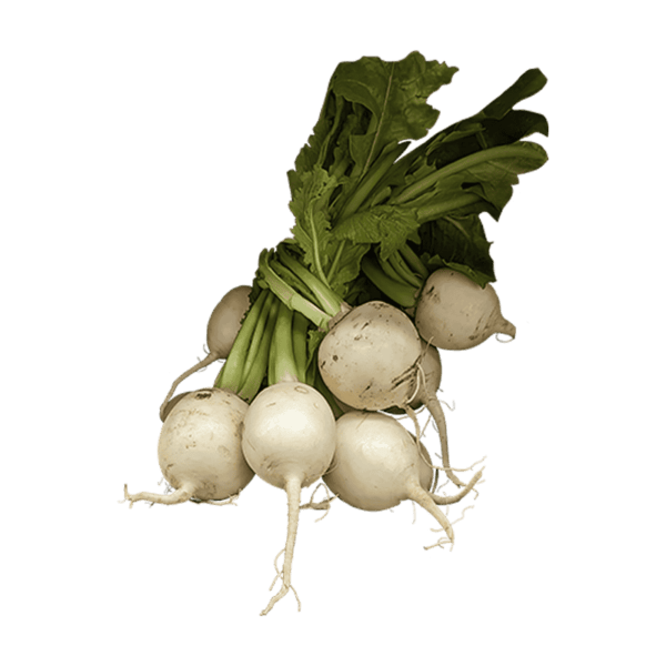 Turnips on a transparent (no) background