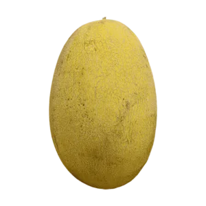 Golden Hami Melon on a transparent (no) background