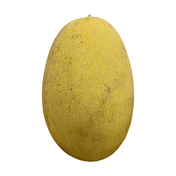 Golden Hami Melon on a transparent (no) background