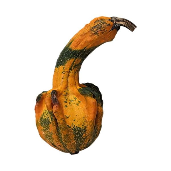 Funny Gourd on a white background