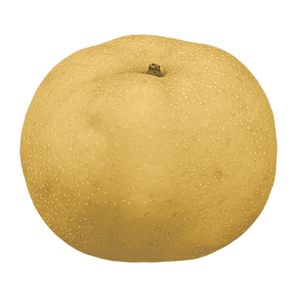 Asian Pear on a transparent (no) background