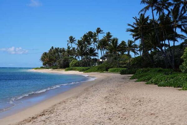 Scenic view of Oahu Hawaii coast