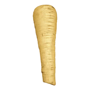 Parsnip on a transparent (no) background