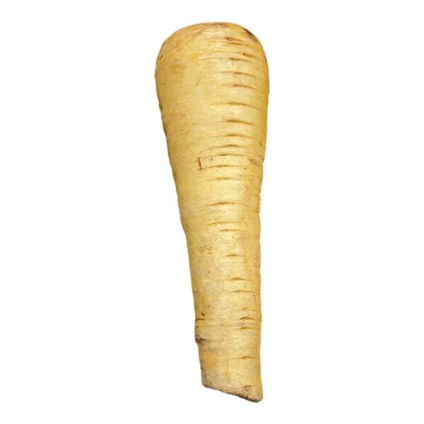 Parsnip on a white background