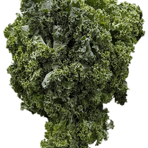 Kale on a transparent (no) background