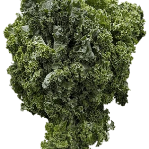Kale on a transparent (no) background